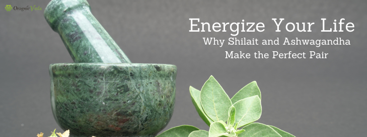 Shilajit and Ashwagandha